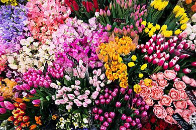 《战锤40K：星际战士2》公开B测取消：将专注优化打磨